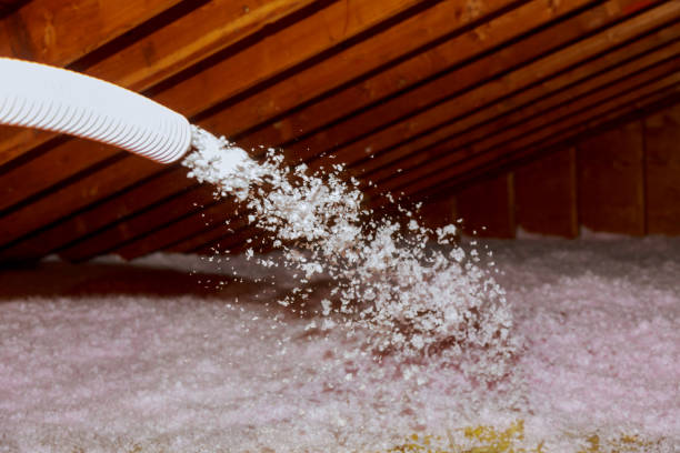 Best DIY Insulation Kits and Guidance in Willard, OH