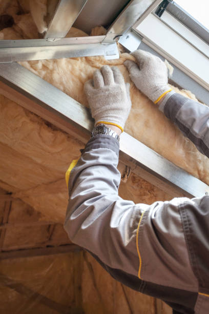 Best Insulation Maintenance and Repair in Willard, OH