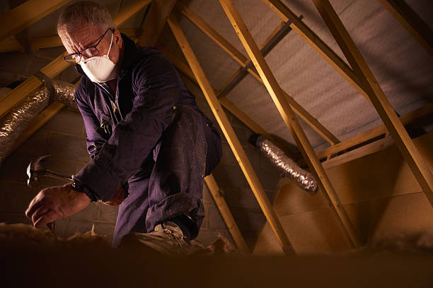 Best Geographic-Specific Insulation Services in Willard, OH